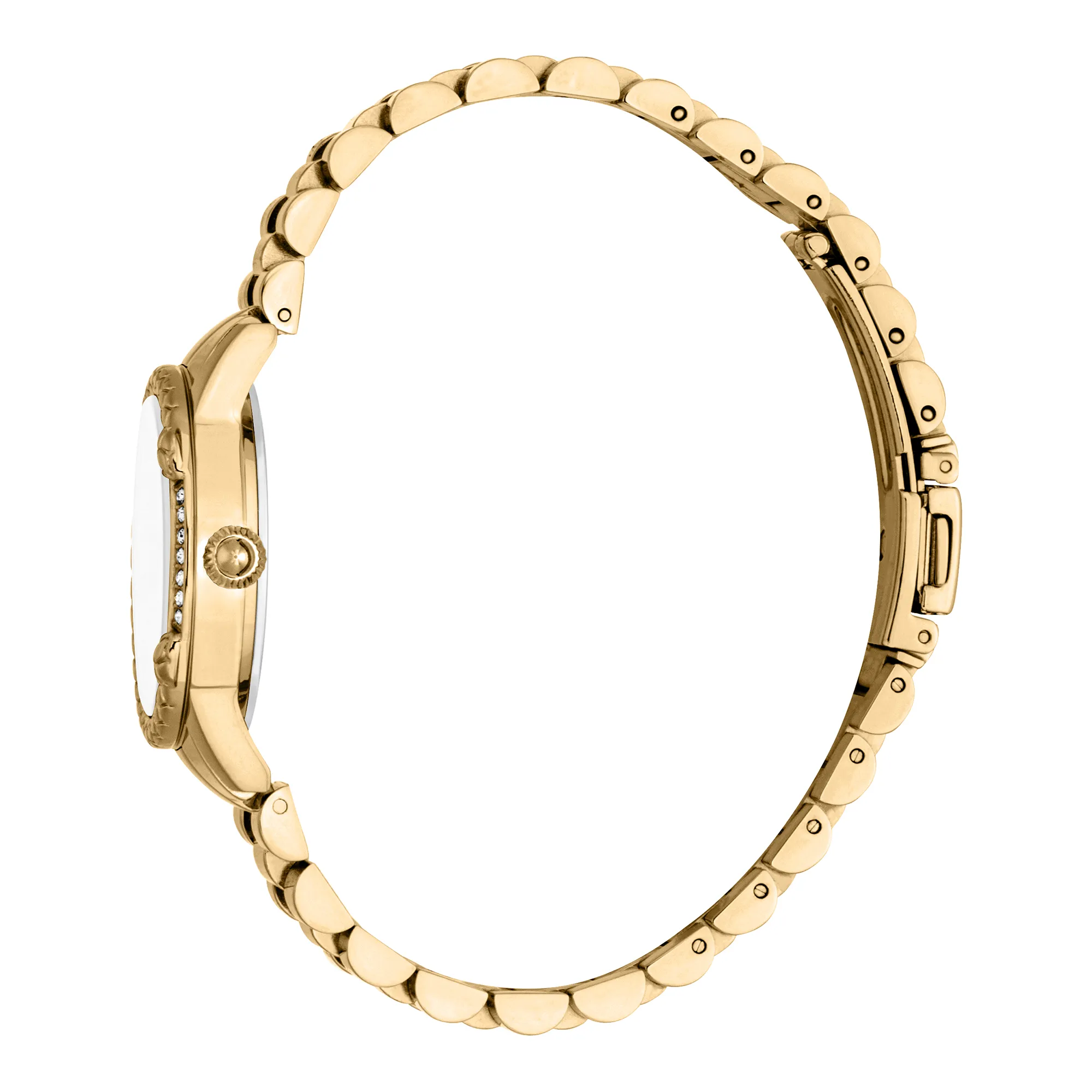 Just Cavalli Fiorenza Snake Yellow Gold (JC1L310M0065) Just Cavalli Fiorenza Snake Yellow Gold (JC1L310M0065) — изображение 2