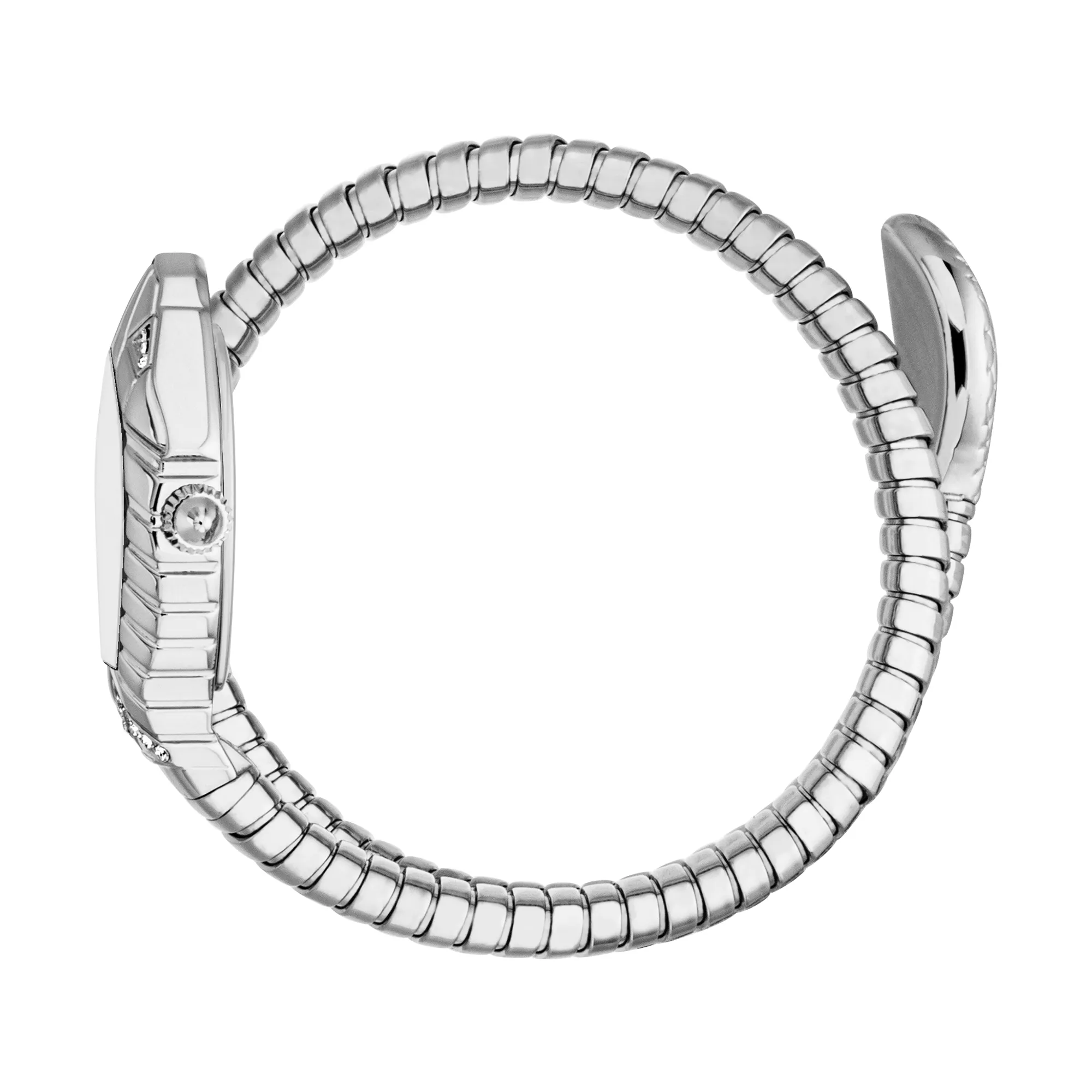 Just Cavalli Speranza Silver (JC1L356M0015) Just Cavalli Speranza Silver (JC1L356M0015) — изображение 2