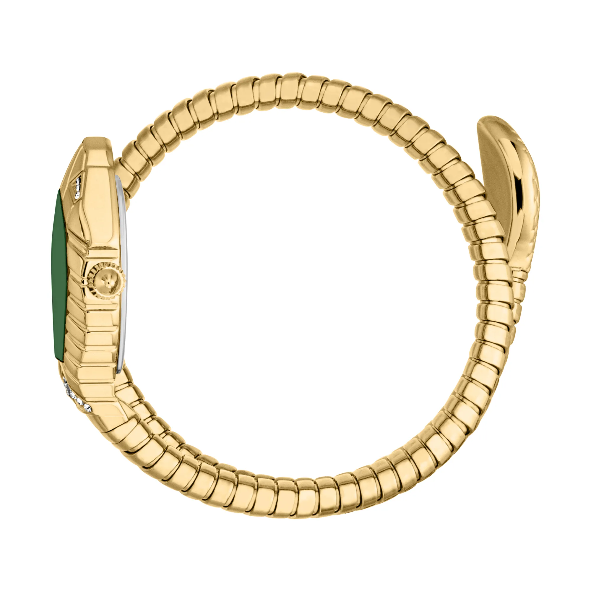 Just Cavalli Speranza Yellow Gold Green (JC1L356M0035) Just Cavalli Speranza Yellow Gold Green (JC1L356M0035) — изображение 2