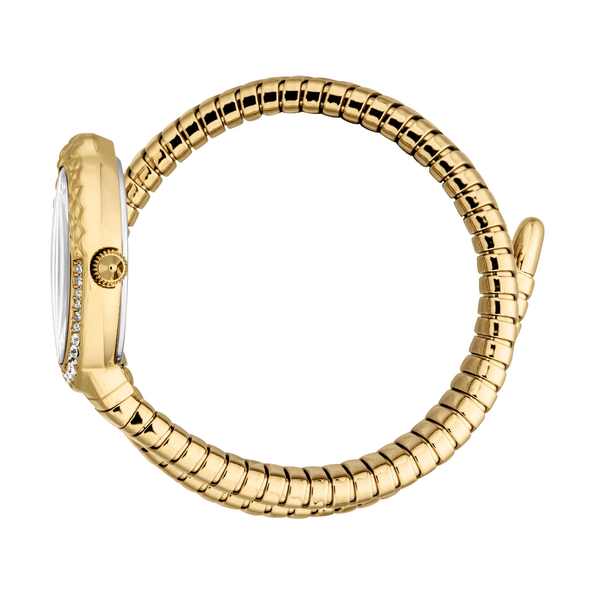 Just Cavalli Fiore Yellow Gold Silver (JC1L390M0025) Just Cavalli Fiore Yellow Gold Silver (JC1L390M0025) — изображение 2