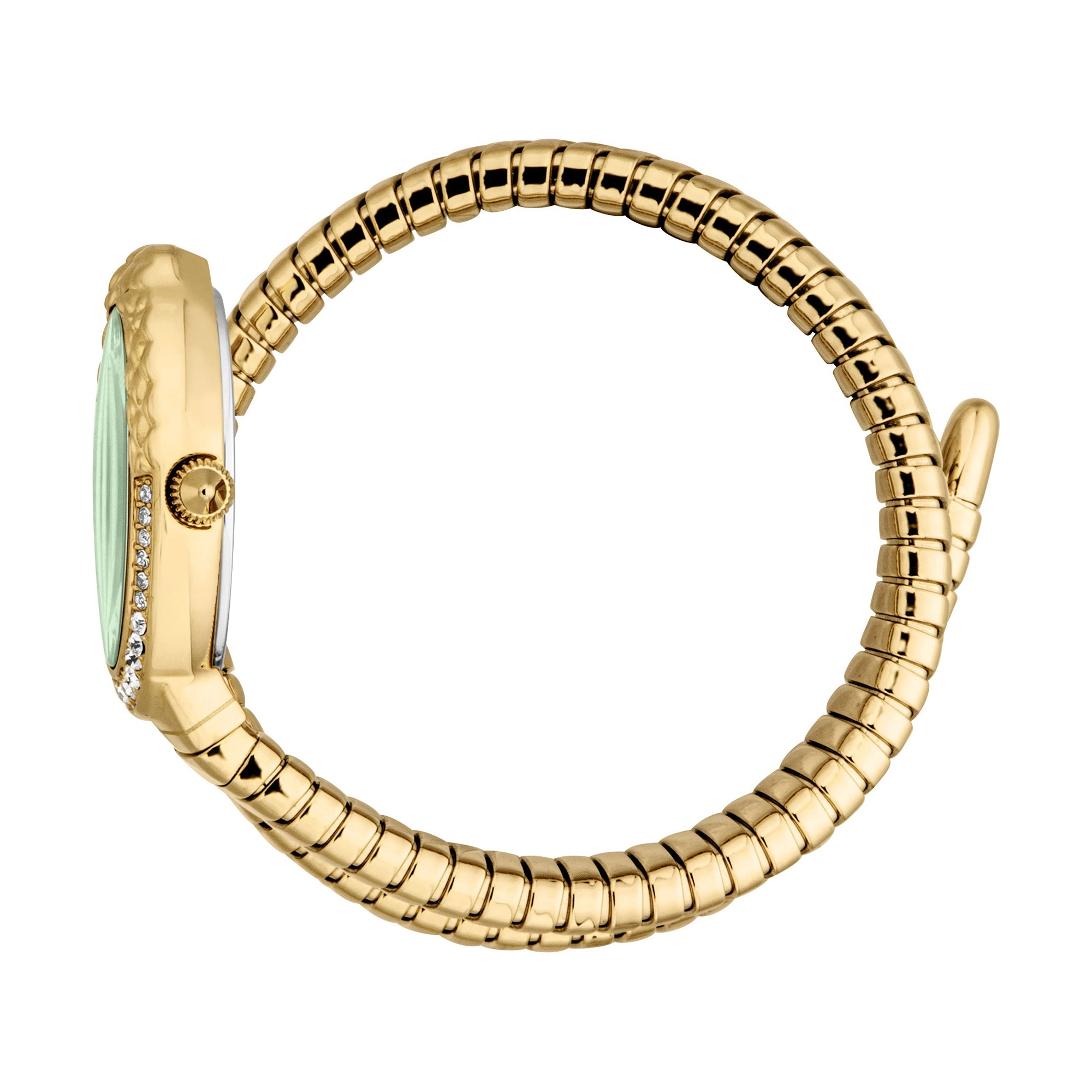 Just Cavalli Fiore Yellow Gold Green (JC1L390M0035) Just Cavalli Fiore Yellow Gold Green (JC1L390M0035) — изображение 2
